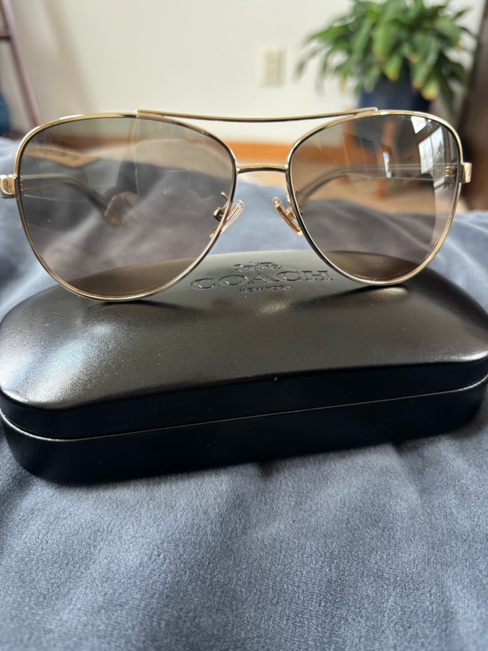 Coach Women’s Gold Frame Sunglasses with Brown Gradient Lenses